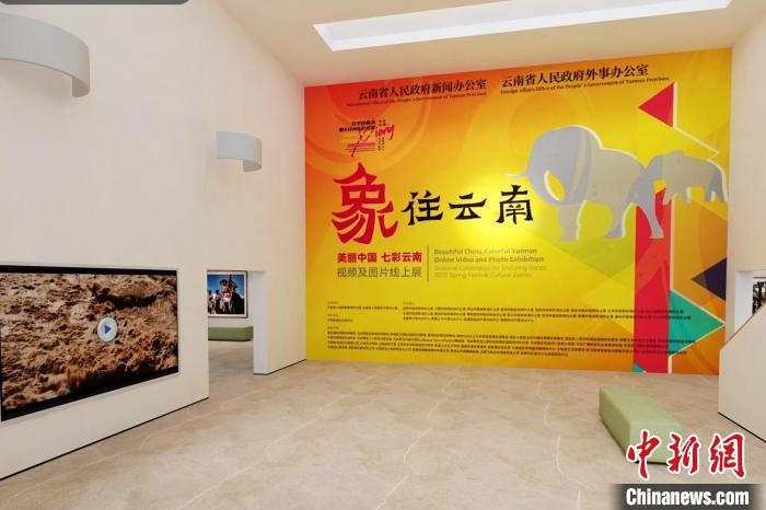 圖為“象”往云南——美麗中國(guó) 七彩云南視頻及圖片線上展截圖?！『h(yuǎn)航 攝