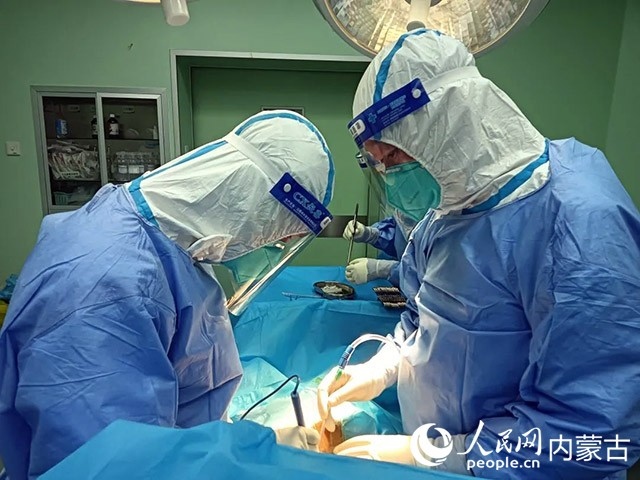 醫(yī)護人員正在為新冠肺炎合并腸梗阻腸穿孔的尿毒癥患者實施急診手術(shù)。呼和浩特市第一醫(yī)院供圖