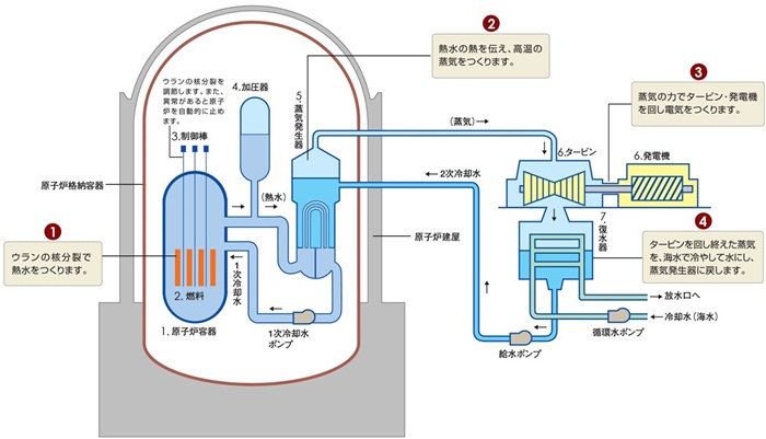 核電站運(yùn)作原理圖。通常的核電站排水未直接接觸核燃料。（圖片來源：日本北海道電力株式會(huì)社網(wǎng)站）