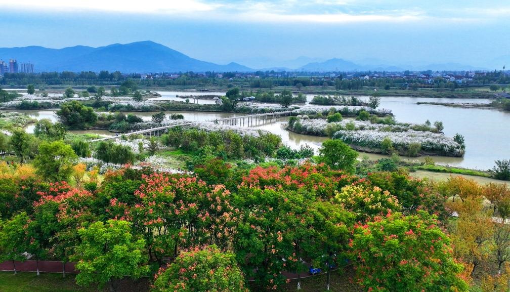 2022年10月11日拍攝的天漢濕地公園景色。新華社發(fā)（宋曉麗 攝）