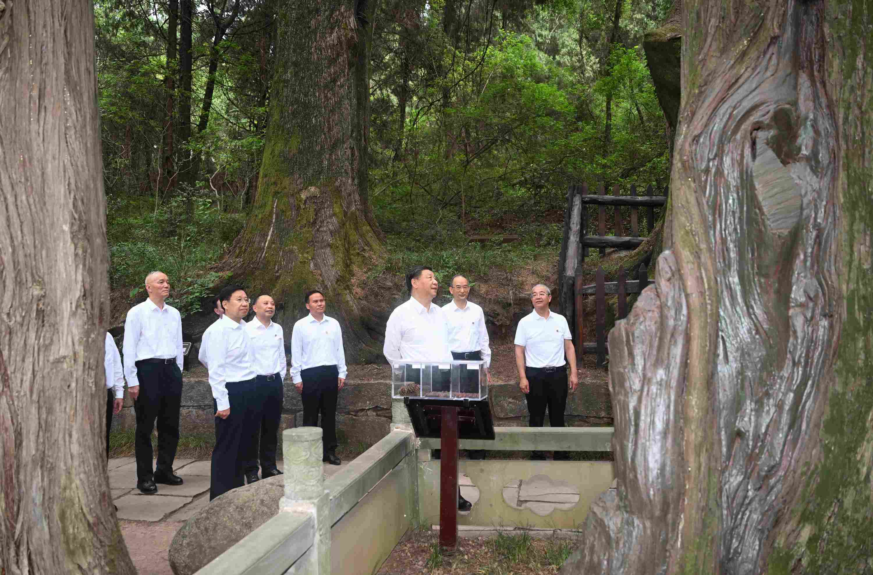 △2023年7月25日，習(xí)近平總書記在四川省廣元市考察了翠云廊古蜀道，了解當(dāng)?shù)赝七M(jìn)歷史文化傳承、加強(qiáng)生態(tài)文明建設(shè)等情況。