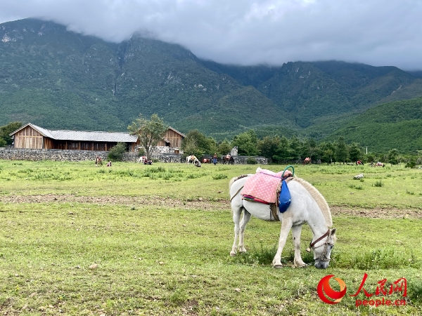 玉湖村附近草甸。人民網(wǎng) 周靜圓攝