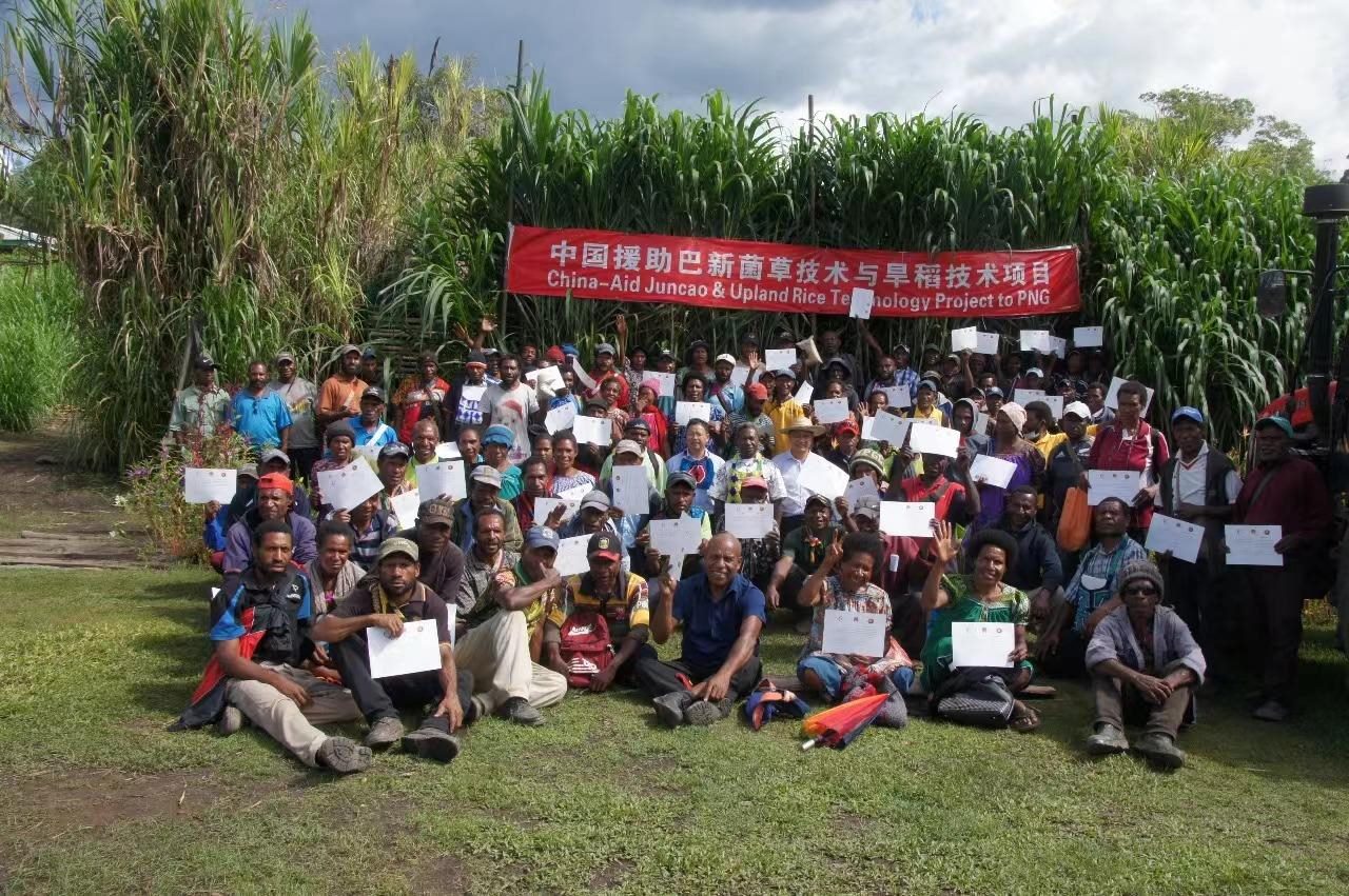 △2020年12月17日，在巴布亞新幾內(nèi)亞東高地省，參加中國援助巴新菌草和旱稻技術(shù)項(xiàng)目第9期培訓(xùn)班的當(dāng)?shù)孛癖娬故窘Y(jié)業(yè)證書。