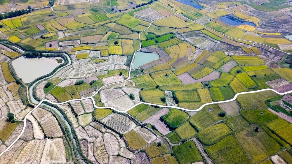 安徽省鳳陽(yáng)縣小崗村的田野景象（2018年9月27日攝，無(wú)人機(jī)照片）。新華社記者 張端 攝