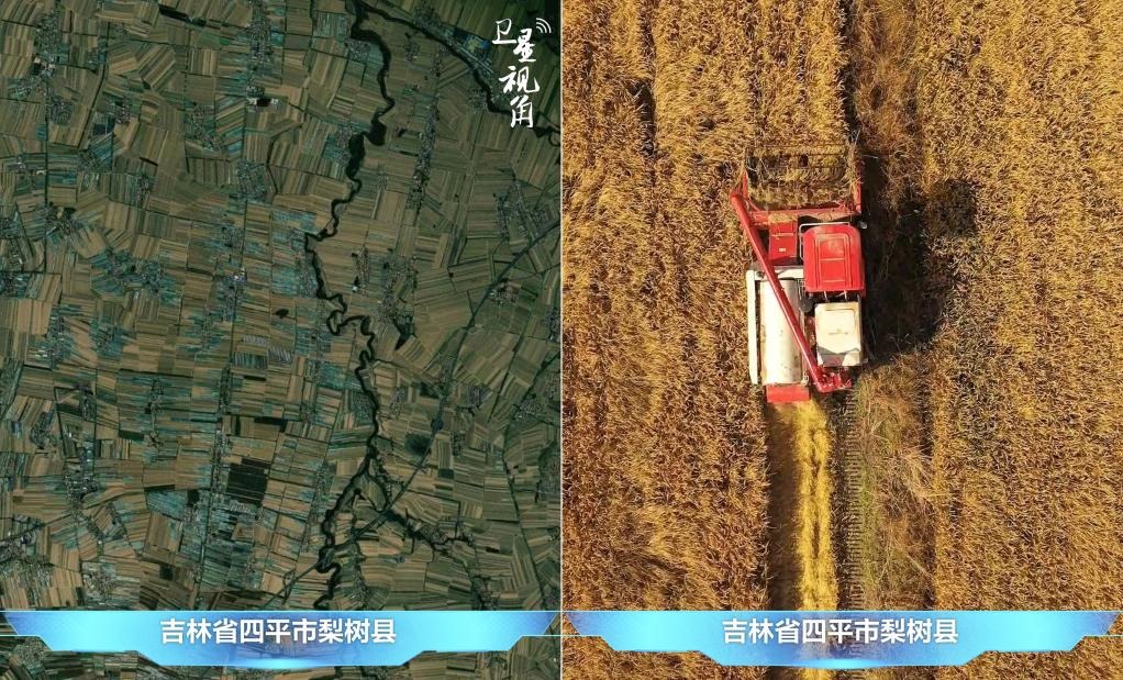 隨著現(xiàn)代化農(nóng)機(jī)普及應(yīng)用，保護(hù)性耕作“梨樹模式”得以大面積推廣，不僅使黑土地保護(hù)與利用持續(xù)深入，更為糧食作物高產(chǎn)穩(wěn)產(chǎn)助力。