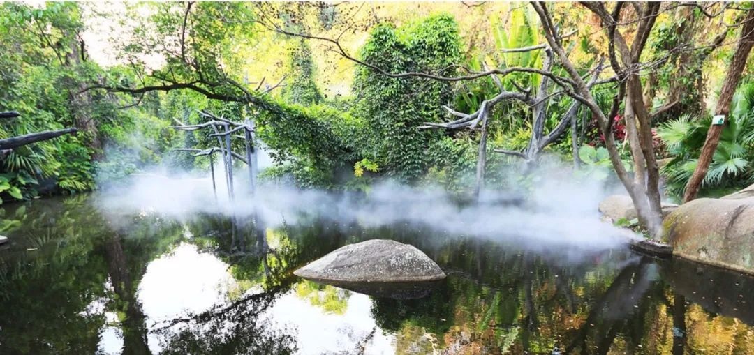 △鼓浪嶼-萬石山風景名勝區(qū)重要組成部分廈門園林植物園熱門景點“雨林世界”。