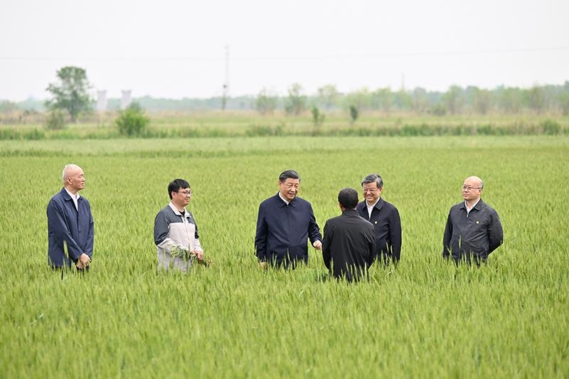 △2023年5月11日，習(xí)近平總書記在河北滄州黃驊市舊城鎮(zhèn)仙莊片區(qū)旱堿地麥田同種植戶、農(nóng)技專家親切交流。