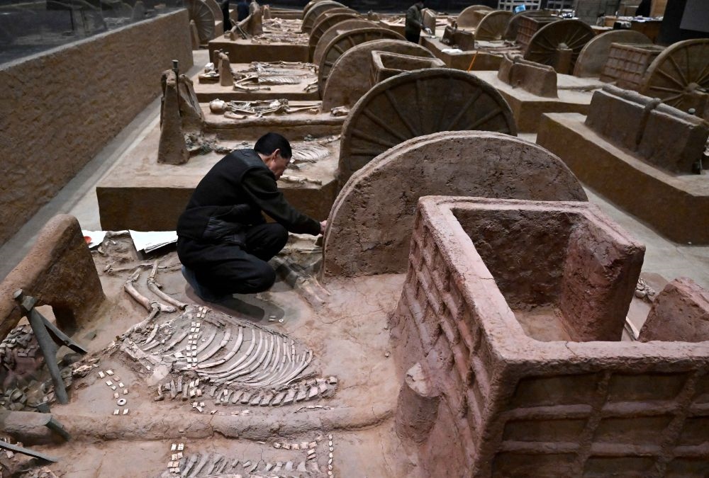 工作人員在殷墟博物館新館的展廳內(nèi)修復(fù)車(chē)馬遺跡（2月23日攝）。