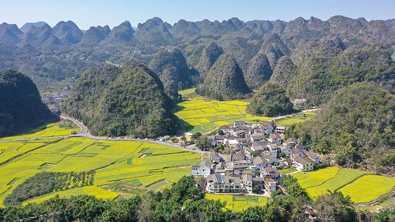 2024年2月17日，貴州省興義市萬峰林景區(qū)的油菜花海景色（無人機(jī)照片）。