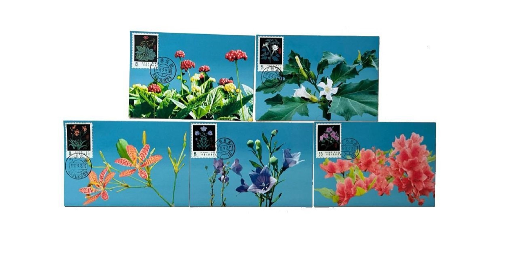 首套藥用植物極限片。第七屆阿聯(lián)酋集郵展主辦方供圖