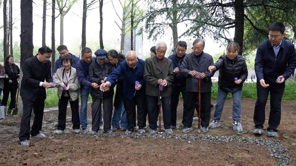 南京大屠殺幸存者代表、死難者遺屬代表等在紀念館的和平公園里，播撒下紫金草的種子。新華社記者林凱 攝