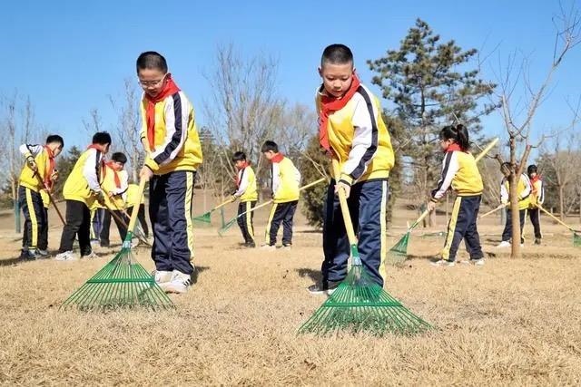 △2024年3月12日，北京城市綠心森林公園，參加植樹節(jié)主題活動的學(xué)生們學(xué)習義務(wù)植樹知識，并進行現(xiàn)場撫育管護。