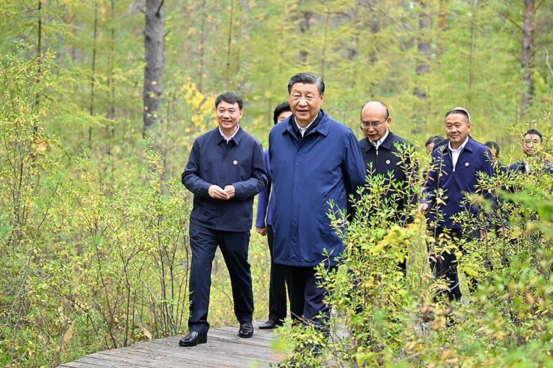 △2023年9月6日，習近平總書記在大興安嶺地區(qū)漠河市漠河林場自然林區(qū)考察。