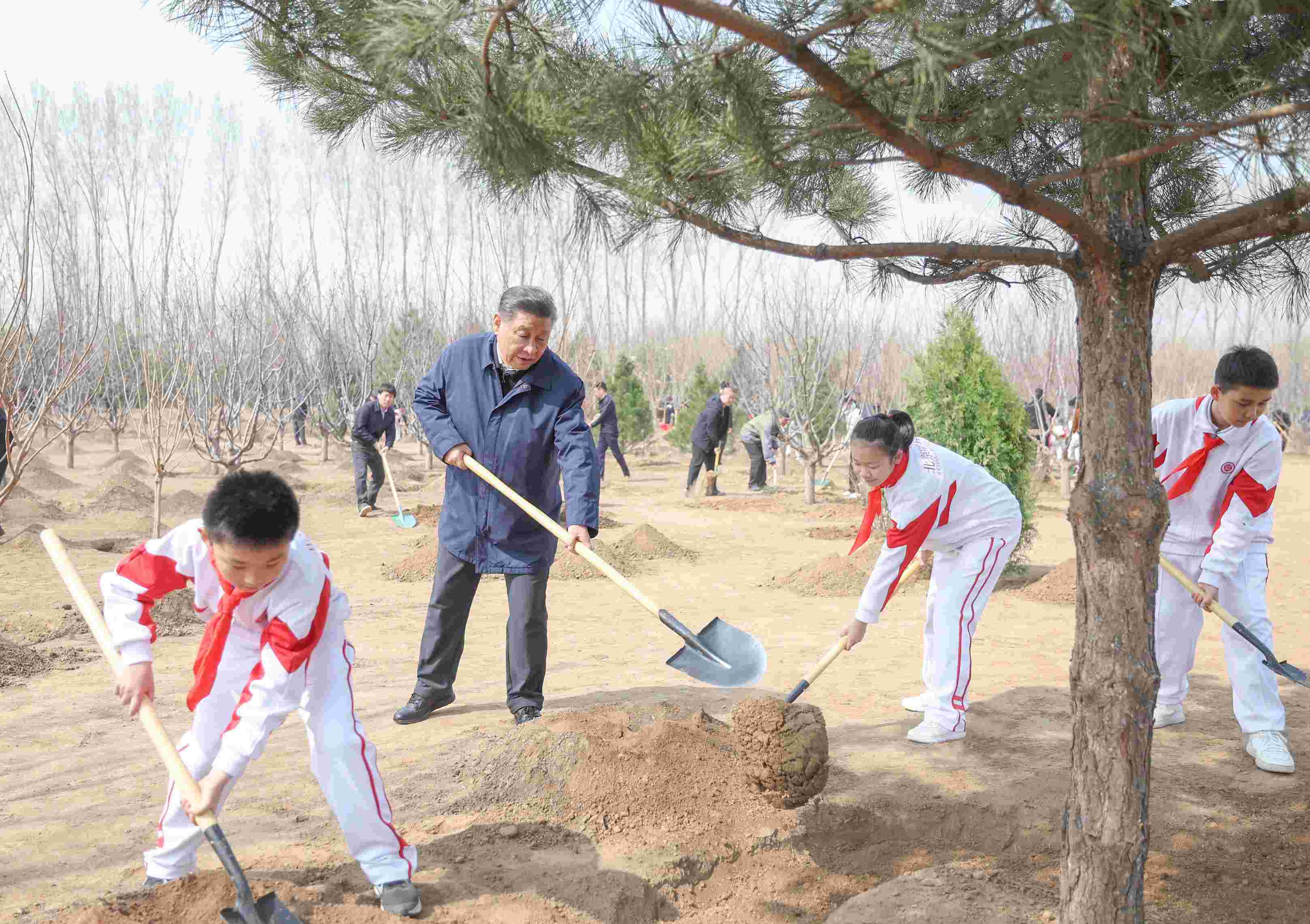 2024年4月3日，習(xí)近平總書記來到北京市通州區(qū)潞城鎮(zhèn)參加首都義務(wù)植樹活動。