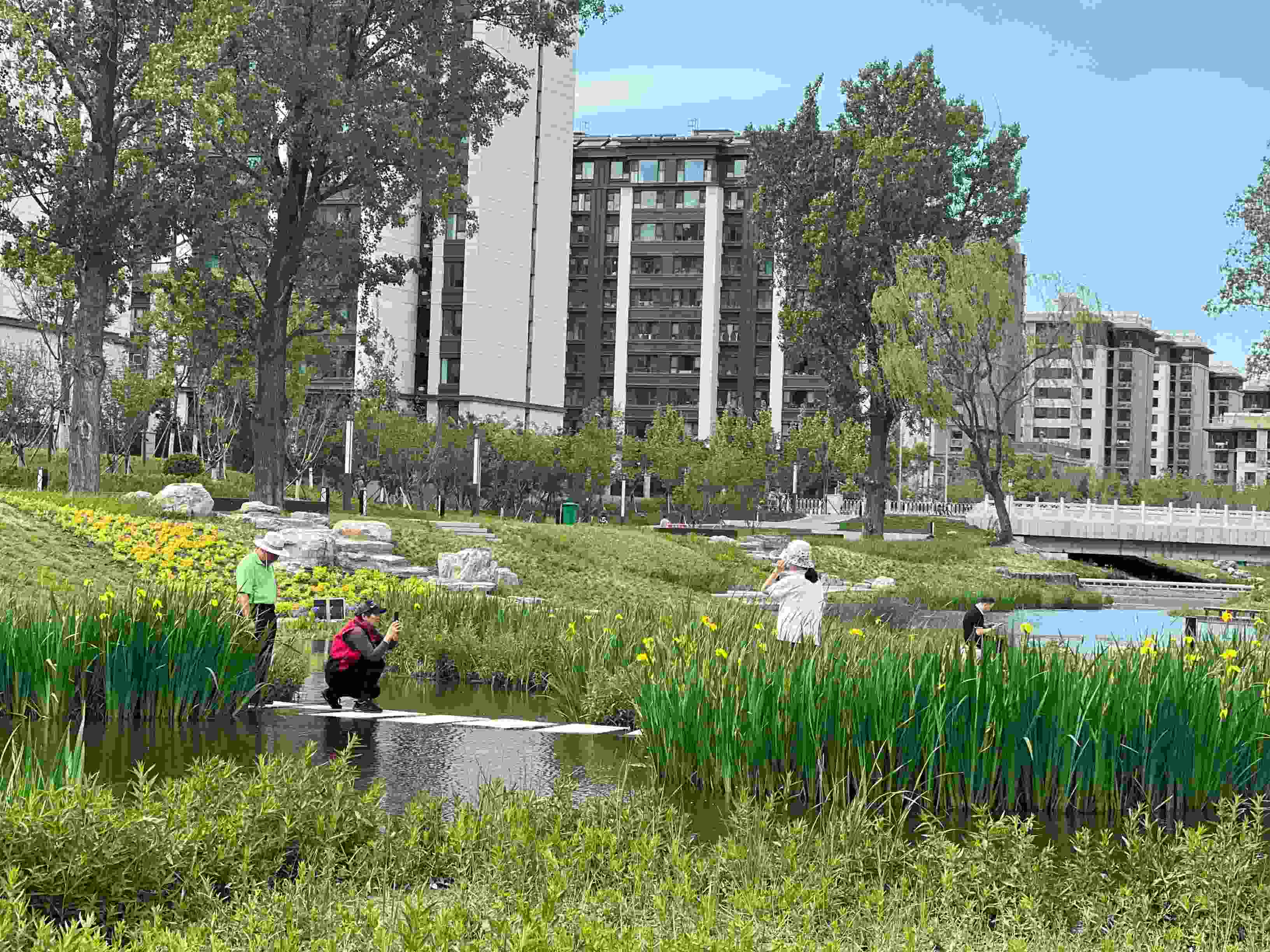 五一渠生態(tài)濱河公園內，市民正在拍照留念。人民網 歐陽易佳攝