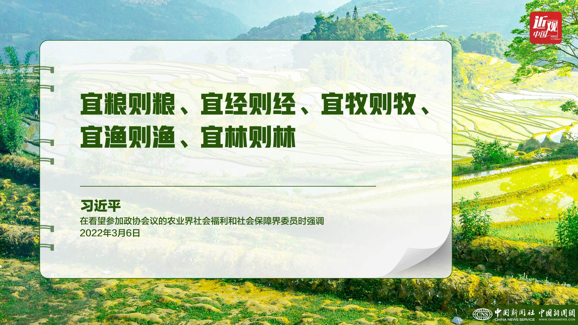 習(xí)近平：樹立大食物觀，構(gòu)建多元化食物供給體系