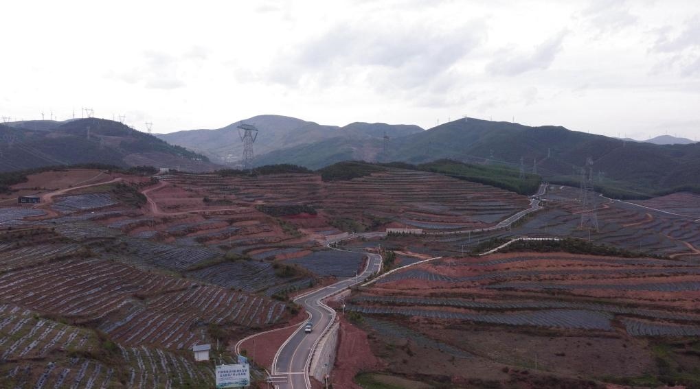 火普村的藍(lán)莓基地一角（無人機(jī)照片）。新華社記者 尹恒 攝