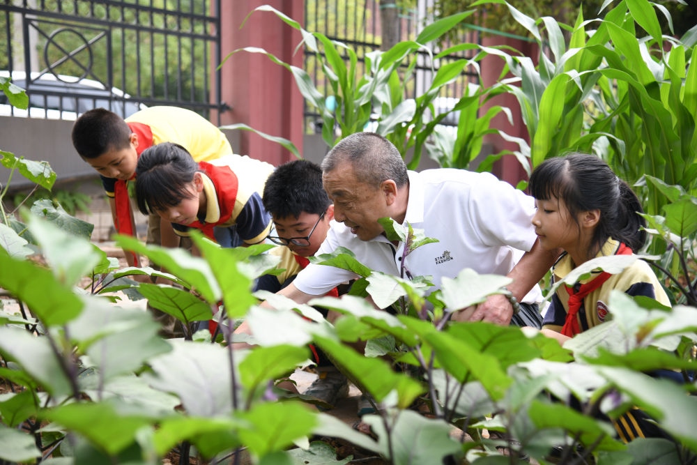 5月31日，老師帶領(lǐng)學(xué)生在之江小學(xué)勞動(dòng)實(shí)踐基地學(xué)習(xí)蔬菜知識(shí)。新華社記者 胥冰潔 攝