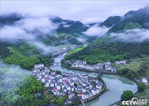 2024年6月19日，浙江省杭州市淳安縣楓樹嶺鎮(zhèn)下姜村，雨后云霧繚繞。