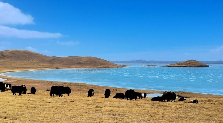在三江源國家公園黃河源園區(qū)拍攝的扎陵湖風光（2022年3月12日攝）。新華社記者 呂雪莉 攝