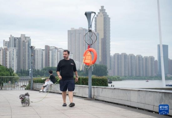 7月20日，在安徽蕪湖市，馬丁在長(zhǎng)江邊遛狗。新華社記者 傅天 攝