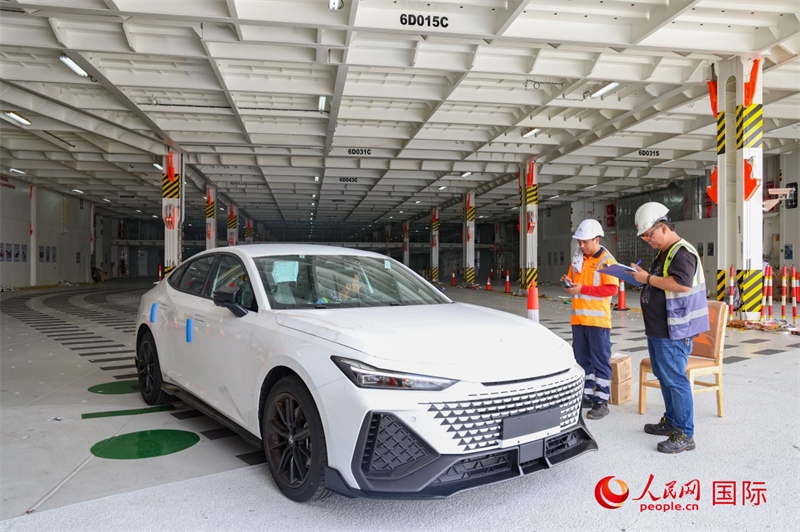 工人正在進(jìn)行卸車作業(yè)。人民網(wǎng)記者 任皓宇攝