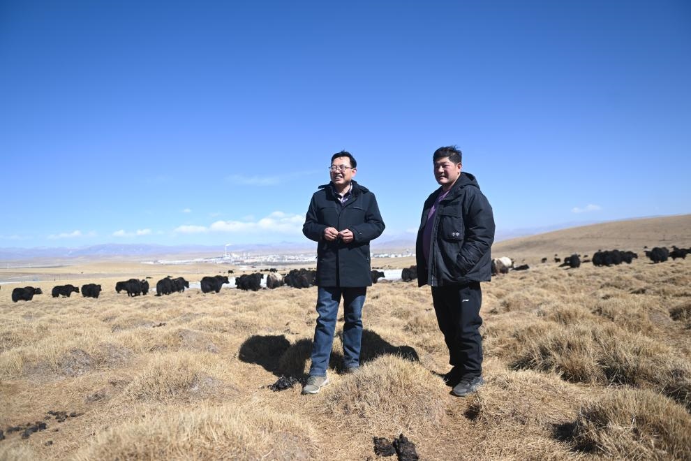2023年2月24日，在青海省海北藏族自治州海晏縣青海湖鄉(xiāng)達(dá)玉日秀村，全國人大代表董全民（左）查看牧民東知布家的草場。新華社記者 張龍 攝