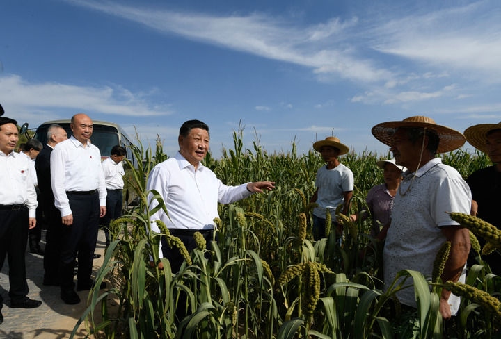 2021年9月13日至14日，中共中央總書記、國家主席、中央軍委主席習(xí)近平在陜西省榆林市考察。這是13日下午，習(xí)近平在米脂縣銀州街道高西溝村臨時(shí)下車，察看糧食作物長勢，同正在田間勞作的老鄉(xiāng)拉家常。新華社記者 李學(xué)仁 攝