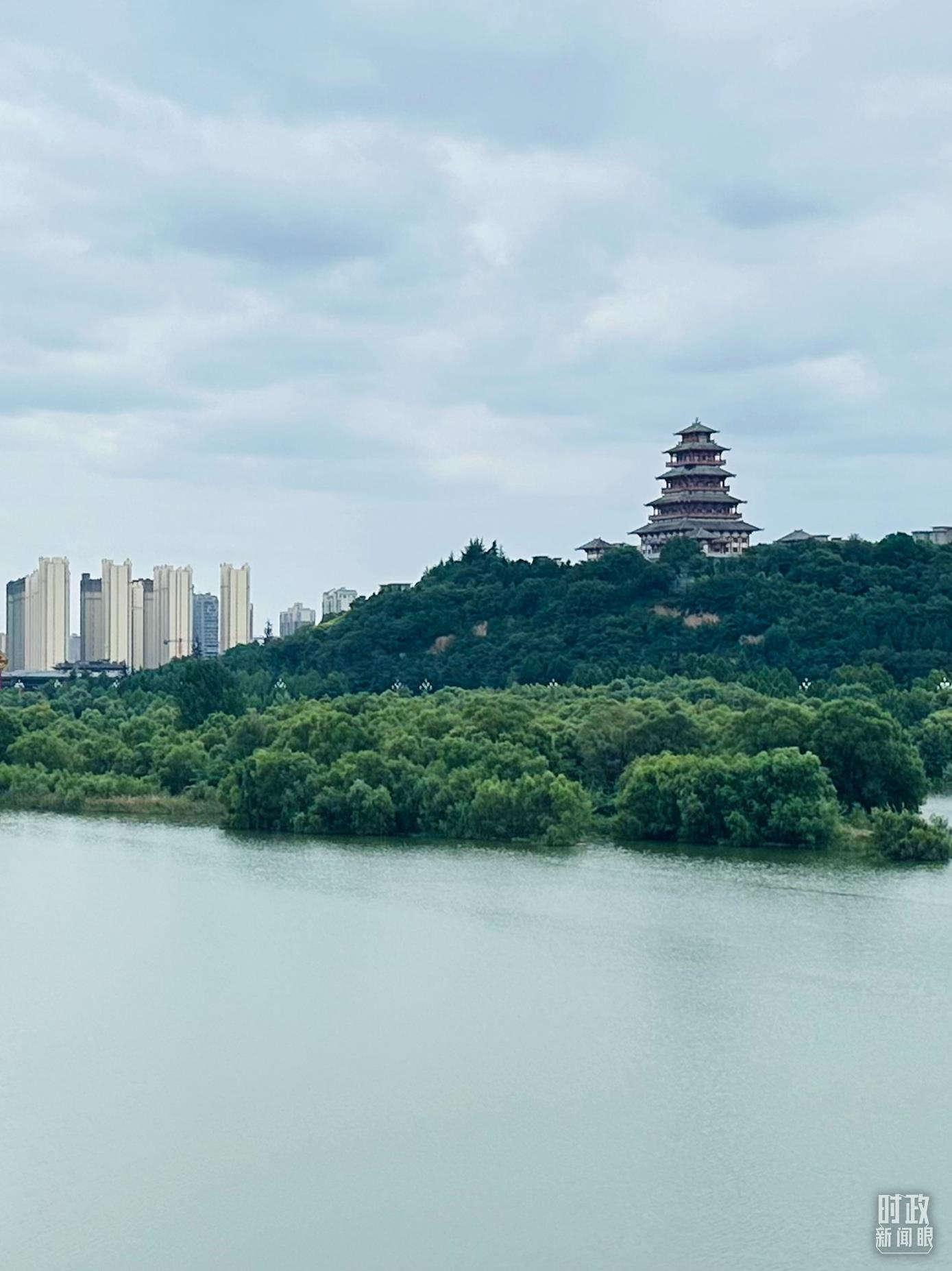 △渭河寶雞段長224公里，目前建成17處渭河灘區(qū)生態(tài)涵養(yǎng)區(qū)。（總臺央視記者范一鳴拍攝）