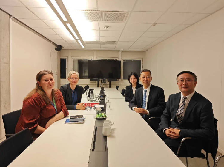 中國駐瑞典大使崔愛民會見瑞典聯(lián)合國教科文組織全國委員會秘書長。中國駐瑞典大使館供圖
