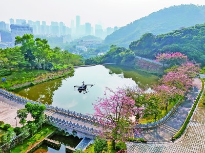 無人機在深圳塘朗山郊野公園里巡檢。新華社發(fā)