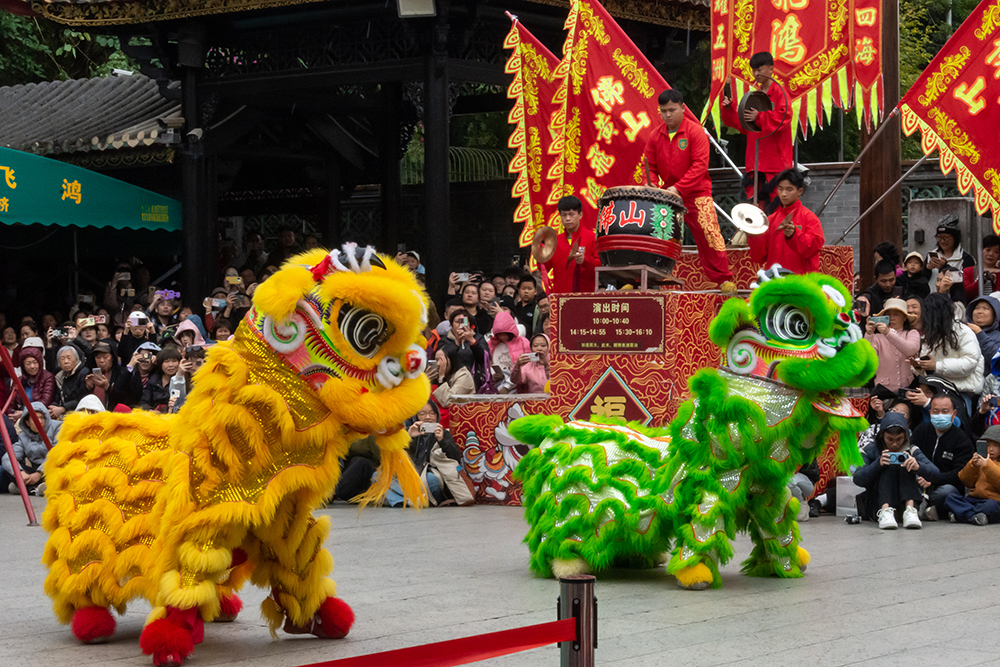 圖為廣東省佛山市祖廟的醒獅表演。