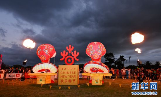圖為游客在2025年奧克蘭元宵燈節(jié)游覽。（圖片由奧克蘭中國文化中心提供）