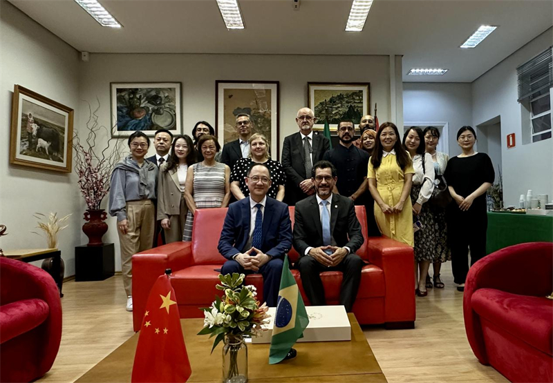 圖為參加座談會的來賓合影留念。 圣保羅州立大學(xué)孔子學(xué)院供圖