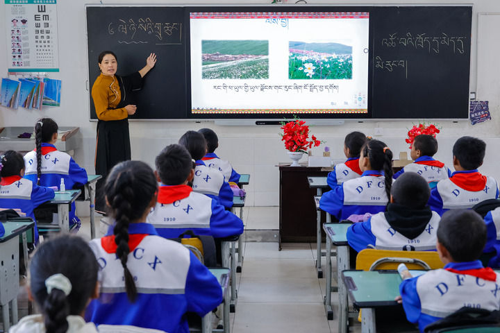 2024年9月27日，在四川省甘孜藏族自治州道孚縣城關(guān)第一完全小學(xué)，采取“藏加模式”教學(xué)的五年級(jí)一班的藏語(yǔ)文課上，準(zhǔn)木周老師指導(dǎo)藏族學(xué)生以家鄉(xiāng)草原風(fēng)物為主題寫作藏語(yǔ)文作文。新華社記者 沈伯韓 攝